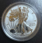 2019 W ENHANCED REVERSE PROOF SILVER EAGLE FROM PRIDE OF NATIONS IN CAPSULE
