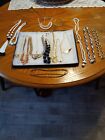 Lot Of 19 necklaces with 1 pair of matching earrings Wearable some names