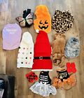 DOG PET SMALL OUTFITS SOCKS HOLIDAY ACCESSORIES LOT OF 10