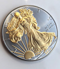 2013 United States Mint 1oz Gilded American Silver Eagle