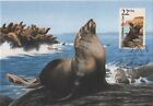 Sea Lion California Fauna World Wildlife Canada USA Art Mint Maxi Card FDC 1987