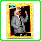 Ric Flair VINTAGE 4 HORSEMEN WCW Investment RARE Pro Wrestling LEGEND ICON Card