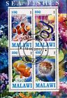 New ListingMalawi Fish Amphiprion Ocellaris  Coral Marine Fauna Ocean Life Souvenir Sheet o