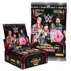 2024 WWE Panini Adrenalyn 24 Pack Box + Starter Pack Album (162 Cards)