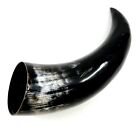 Stunning Polished Large Water Buffalo Horn 12