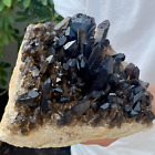 5.96LB Large Natural black Quartz Crystal Cluster Rough Specimen Healing Stone.