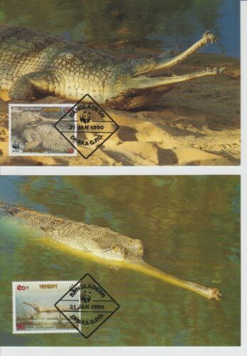 New ListingBangladesh Gavialis (Indian crocodiles) 4 animal postcards, wildlife, 1990