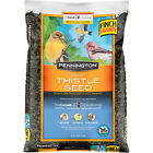 Thistle Seed, Wild Bird Feed and Seed, 10 lb. Bag