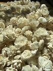 Sola Wood Flowers Lot, White, Un-dyed, No Skins, Presoftened, Approx 500 Flowers