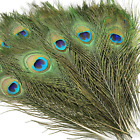 20PCS Real Natural Peacock Eye Feathers 10-12 Inch,For DIY Craft,Floral Arrangem