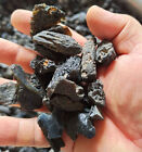 Black Gem Moldavite Meteorite Tektite Impact Glass Specimen 100G