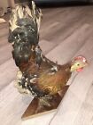 Vintage Rooster Chicken Bird Mount Taxidermy