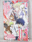 TOARU MAJUTSU NO INDEX 11.5 Manga Comic Guide Art Fan Book 2013 SE19