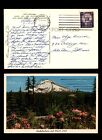 New ListingMayfairstamps US 1961 Portland to Wheaton IL Flowers Mt Hood Postcard aaj_63003