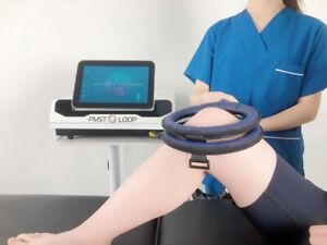 PMST LOOP Pain Relief Pemf Magnetic Therapy Human Animal Physio PEMF Machine