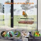 Window Bird Feeders Strong Suction Cups Wild Bird Feeder Bird Watching Stage Box