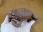 EL1000-20) Lucky charm Cane TOAD tanned Leather taxidermy I love toads Australia