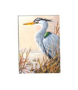 Original wildlife aceo   painting of a Great Blue Heron by R D. Heffron