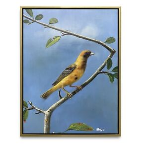 Hungryartist -Original Oil Painting of a Bird  on Canvas 12x16 Framed