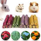 20 Pcs Rabbit Chew Toys Timothy Grass Carrot Sticks for Guinea Pig Hamster Bunny