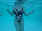 Rare sexy custom Halcyon blue Bikinis Ultra high leg Haley swimsuit zebra print