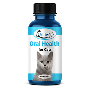 ORAL HEALTH FOR CATS Degenerative Mouth Ailments Natural Remedy