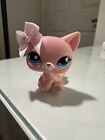 Littlest Pet Shop #2593 Sitting Pink Shorthair Cat With Blue Eyes / BOW