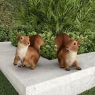 2 Squirrel Statues Resin Animal Figurines for Garden Flower Bed Outdoor Lawn