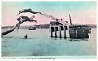 Vintage Postcard 1915 Lake Okoboji Iowa Diving at Arnold's Park People-C2-8