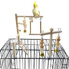 Bird Playground Parrot Play Gym Parakeet Cage Play Stand Wooden Perches