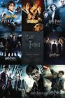Harry Potter 1-8 - Movie Poster (All Movie Posters - Grid) (Size: 24