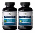 Testosterone steroid - TRIBULUS TERRESTRIS 1000mg - Bodybuilding supplement -180