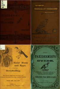 71 Old Books on Taxidermy Techniques Stuffing Mounting Animals Birds Insects DVD