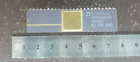 1X CPU IC AMD 1987 AM7990 RARE  VINTAGE `CERAMIC CPU FOR GOLD SCRAP RECOVERY