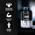 Essentials HMB Capsules HMB Supplements for Lean Muscle Growth Prevent Muscle120