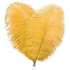 Gold Ostrich Feathers Bulk - 30pcs Feathers for Festival 8-10inch Luxury Gold
