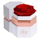 Glamour Boutique Hexagon Single Forever  Real Rose  - Preserved Roses in a Box