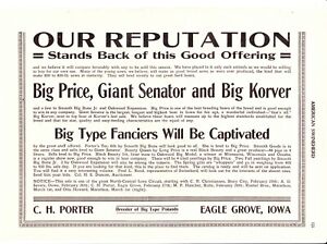 1918 American Swineherd Hog Sales ~ Eagle Grove ~ Rolfe ~ Marathon IA