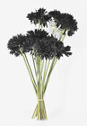 Lot of 18 Black Artificial Silk Spider Daisies Long Stem Flowers Tags 19