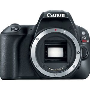 (Open Box) Canon EOS Rebel SL2 24.2 MP Digital SLR Camera - Black (Body Only)