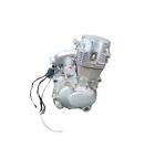 Zongshen 169FMM 250cc OHC Air Cooled Engine | Chinese (Pre-owned)