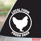 LOCAL FARM FRESH EGGS Vinyl Decal Sticker Window Crate Chicken Farmers Market
