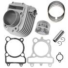 Caltric Cylinder Piston Rings And Gasket For Yamaha TTR225 2000-2004  (For: Yamaha)