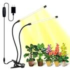 Full Spectrum Plant Grow Lights for Seed Starting Seedlings Succulents Plants