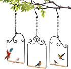 3 Pieces Hummingbird Swing Hummingbird Perch Feeder Rust Resistant Metal Frame w