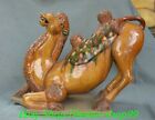 18''Old Chinese Tang Sancai Pottery Dynasty Palace camel Animal Statue Sculpture