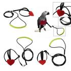 -Shape Parrot Bird Harness with Leash for Budgies, Cockatiels,