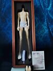 Brand new NS color Evantasy Ball double Jointed Doll MALE / BOY DOLL SD BJD