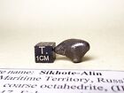 meteorite Sikhote-Alin, Russia, complete oriented individual 6,9 g
