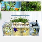 New ListingAquaponic Fish Tank 4-Grid Desktop Fish Tank Rectangle Acrylic Betta Fish Tank
